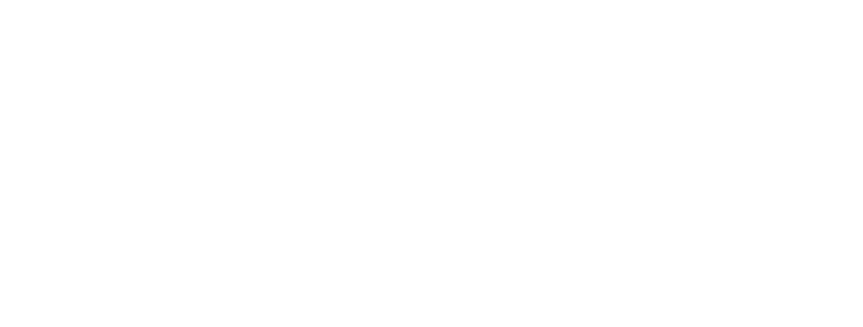 sanaflair Logo hell